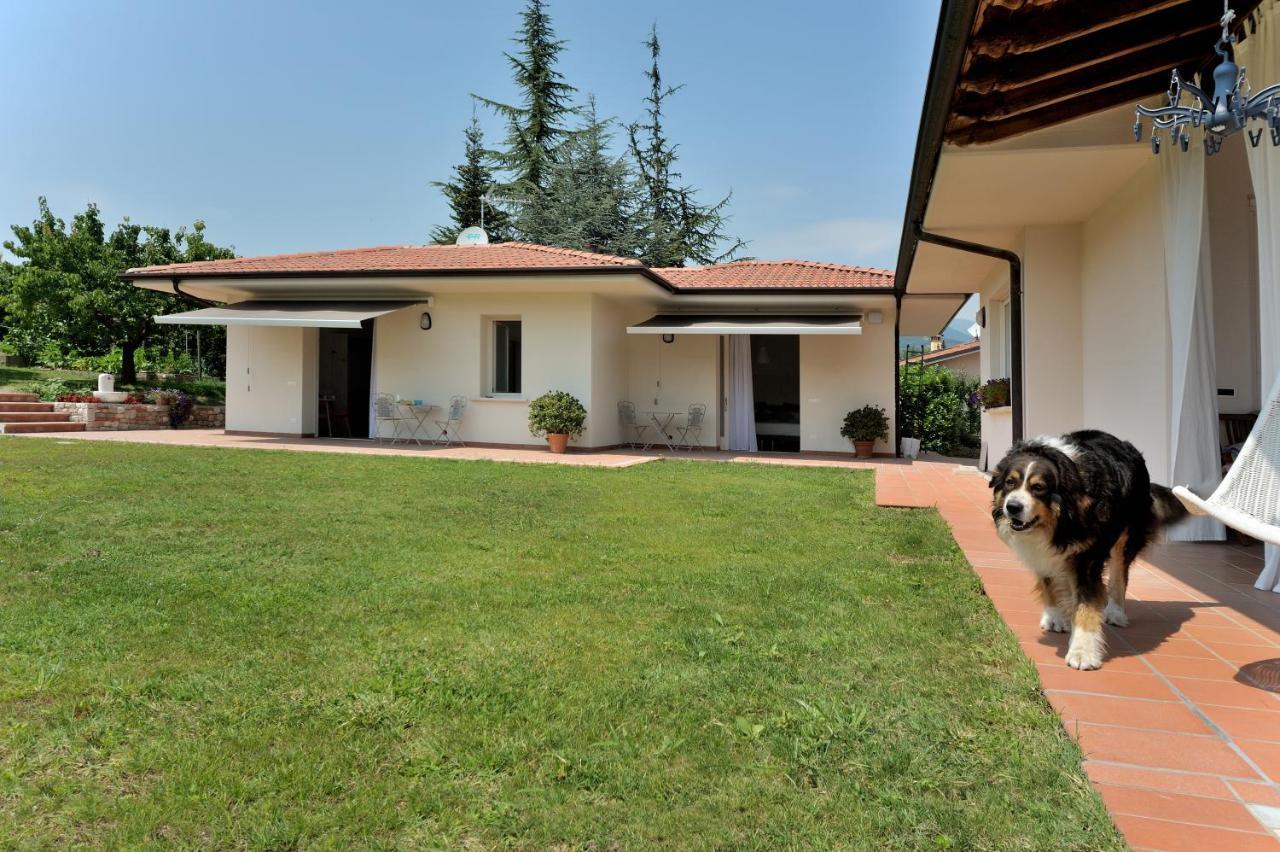 Villa Josephine San Felice del Benaco Esterno foto